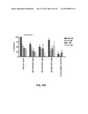 Anti-IGF-1R Antibodies and Uses Thereof diagram and image