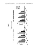 Anti-IGF-1R Antibodies and Uses Thereof diagram and image