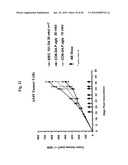 Anti-IGF-1R Antibodies and Uses Thereof diagram and image