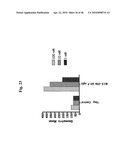 Anti-IGF-1R Antibodies and Uses Thereof diagram and image