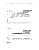 Anti-IGF-1R Antibodies and Uses Thereof diagram and image