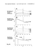 Anti-IGF-1R Antibodies and Uses Thereof diagram and image