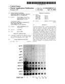 NOVEL SURFACE EXPOSED IMMUNOGLOBULIN D-BINDING PROTEIN FROM FORAXELLA CATARRHALIS diagram and image