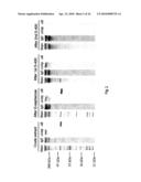 NOVEL SURFACE EXPOSED IMMUNOGLOBULIN D-BINDING PROTEIN FROM FORAXELLA CATARRHALIS diagram and image