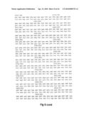 NOVEL SURFACE EXPOSED IMMUNOGLOBULIN D-BINDING PROTEIN FROM FORAXELLA CATARRHALIS diagram and image