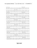 NOVEL SURFACE EXPOSED IMMUNOGLOBULIN D-BINDING PROTEIN FROM FORAXELLA CATARRHALIS diagram and image