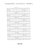 NOVEL SURFACE EXPOSED IMMUNOGLOBULIN D-BINDING PROTEIN FROM FORAXELLA CATARRHALIS diagram and image