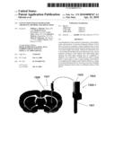 CONVECTION ENHANCED DELIVERY APPARATUS, METHOD, AND APPLICATION diagram and image