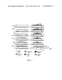 CONVECTION ENHANCED DELIVERY APPARATUS, METHOD, AND APPLICATION diagram and image