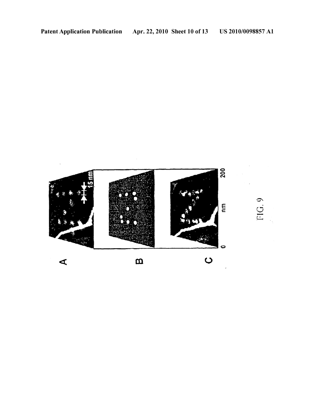 METHODS UTILIZING SCANNING PROBE MICROSCOPE TIPS AND PRODUCTS THEREFOR OR PRODUCED THEREBY - diagram, schematic, and image 11