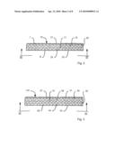 Impact Resistant Shingle diagram and image