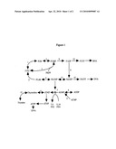 GENE SEQUENCE VARIANCES IN GENES RELATED TO FOLATE METABOLISM HAVING UTILITY IN DETERMINING THE TREATMENT OF DISEASE diagram and image