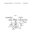 GENE SEQUENCE VARIANCES IN GENES RELATED TO FOLATE METABOLISM HAVING UTILITY IN DETERMINING THE TREATMENT OF DISEASE diagram and image