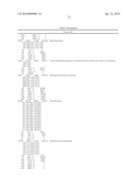 GENE SEQUENCE VARIANCES IN GENES RELATED TO FOLATE METABOLISM HAVING UTILITY IN DETERMINING THE TREATMENT OF DISEASE diagram and image