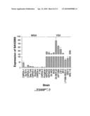 RELIABLE DETECTION OF VANCOMYCIN-INTERMEDIATE STAPHYLOCOCCUS AUREUS diagram and image