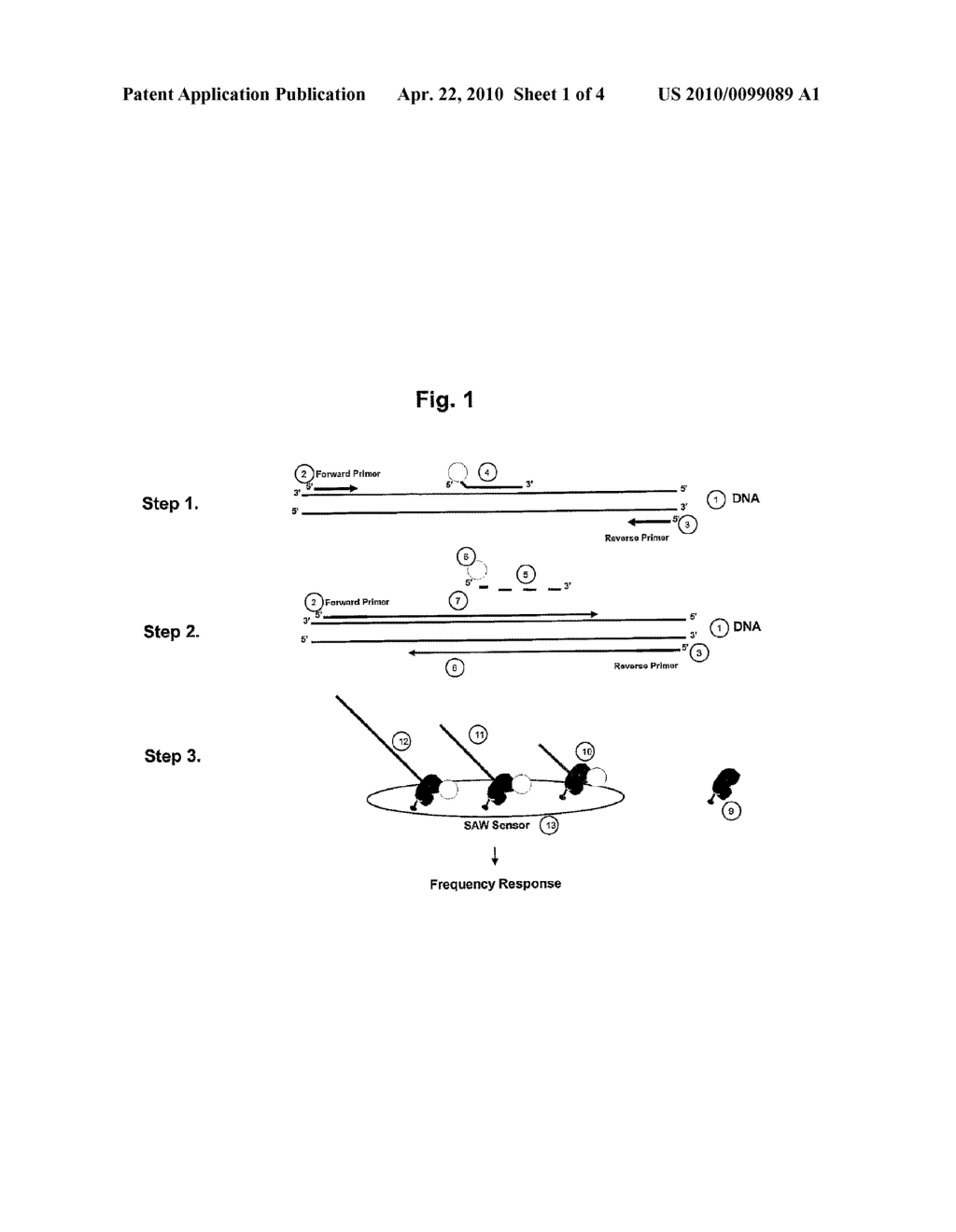REPORTER UNIT FOR DETECTION OF TARGET MOLECULES USING POLYMERISABLE SUBSTRATE - diagram, schematic, and image 02