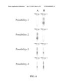 Methods for determination of haplotype dissection diagram and image