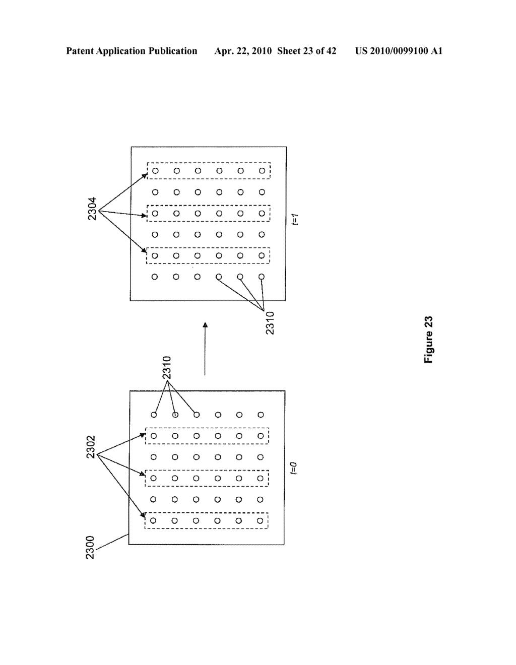 'ULTRA-HIGH MULTIPLEX ANALYTICAL SYSTEMS AND METHODS