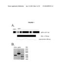 FERRIC REDUCTASE ACTIVITY OF HISTOPLASMA CAPSULATUM Y-GLUTAMYLTRANSFERASE diagram and image