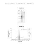 FERRIC REDUCTASE ACTIVITY OF HISTOPLASMA CAPSULATUM Y-GLUTAMYLTRANSFERASE diagram and image