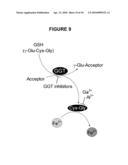 FERRIC REDUCTASE ACTIVITY OF HISTOPLASMA CAPSULATUM Y-GLUTAMYLTRANSFERASE diagram and image