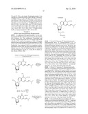 CAGED NUCLEOTIDES AND OLIGONUCLEOTIDES AND THEIR APPLICATION diagram and image