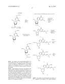 CAGED NUCLEOTIDES AND OLIGONUCLEOTIDES AND THEIR APPLICATION diagram and image