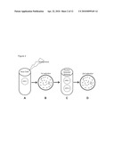 GENETIC SELECTION SYSTEM FOR IMPROVING RECOMBINANT PROTEIN EXPRESSION diagram and image