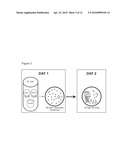 GENETIC SELECTION SYSTEM FOR IMPROVING RECOMBINANT PROTEIN EXPRESSION diagram and image