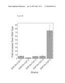 GENETIC SELECTION SYSTEM FOR IMPROVING RECOMBINANT PROTEIN EXPRESSION diagram and image