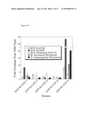 GENETIC SELECTION SYSTEM FOR IMPROVING RECOMBINANT PROTEIN EXPRESSION diagram and image