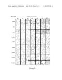 VECTORS AND METHODS FOR ENHANCED CELL LONGEVITY AND PROTEIN EXPRESSION diagram and image