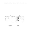 METHODS AND COMPOSITIONS RELATING TO ISOCYANATE CONJUGATES diagram and image