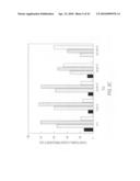 siRNA Targeting Fructose-1, 6-bisphosphatase 1 (FBP1) diagram and image