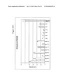 siRNA Targeting Fructose-1, 6-bisphosphatase 1 (FBP1) diagram and image