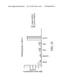 siRNA Targeting Fructose-1, 6-bisphosphatase 1 (FBP1) diagram and image