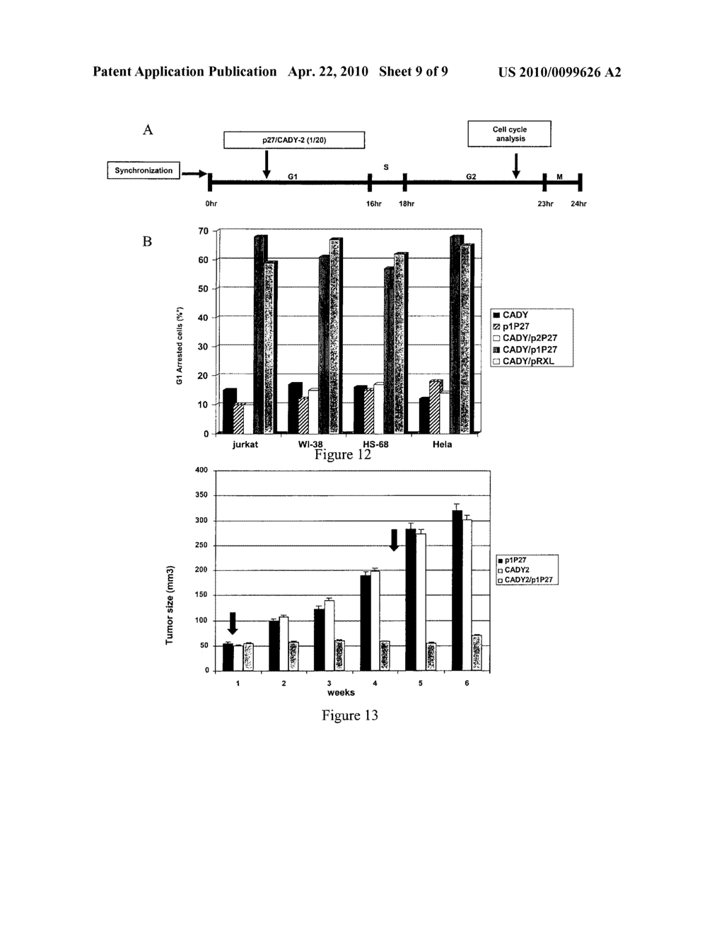 CELL PENETRATING PEPTIDES FOR INTRACELLULAR DELIVERY OF MOLECULES - diagram, schematic, and image 10