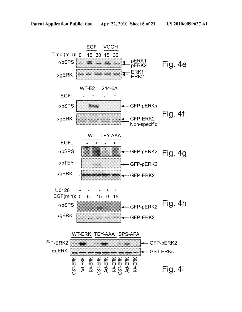 NUCLEAR TARGETING SEQUENCES - diagram, schematic, and image 07