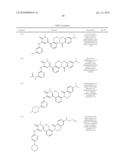 Inhibitors of Bruton s Tyrosine Kinase diagram and image