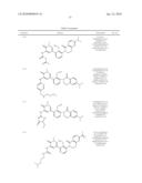 Inhibitors of Bruton s Tyrosine Kinase diagram and image