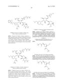 ANTIBACTERIAL AMINOGLYCOSIDE ANALOGS diagram and image