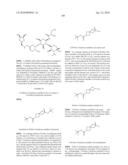 ANTIBACTERIAL AMINOGLYCOSIDE ANALOGS diagram and image