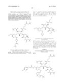 ANTIBACTERIAL AMINOGLYCOSIDE ANALOGS diagram and image