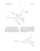 ANTIBACTERIAL AMINOGLYCOSIDE ANALOGS diagram and image