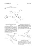 ANTIBACTERIAL AMINOGLYCOSIDE ANALOGS diagram and image