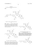 ANTIBACTERIAL AMINOGLYCOSIDE ANALOGS diagram and image