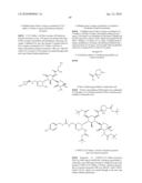 ANTIBACTERIAL AMINOGLYCOSIDE ANALOGS diagram and image