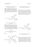 ANTIBACTERIAL AMINOGLYCOSIDE ANALOGS diagram and image