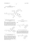 ANTIBACTERIAL AMINOGLYCOSIDE ANALOGS diagram and image