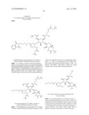 ANTIBACTERIAL AMINOGLYCOSIDE ANALOGS diagram and image